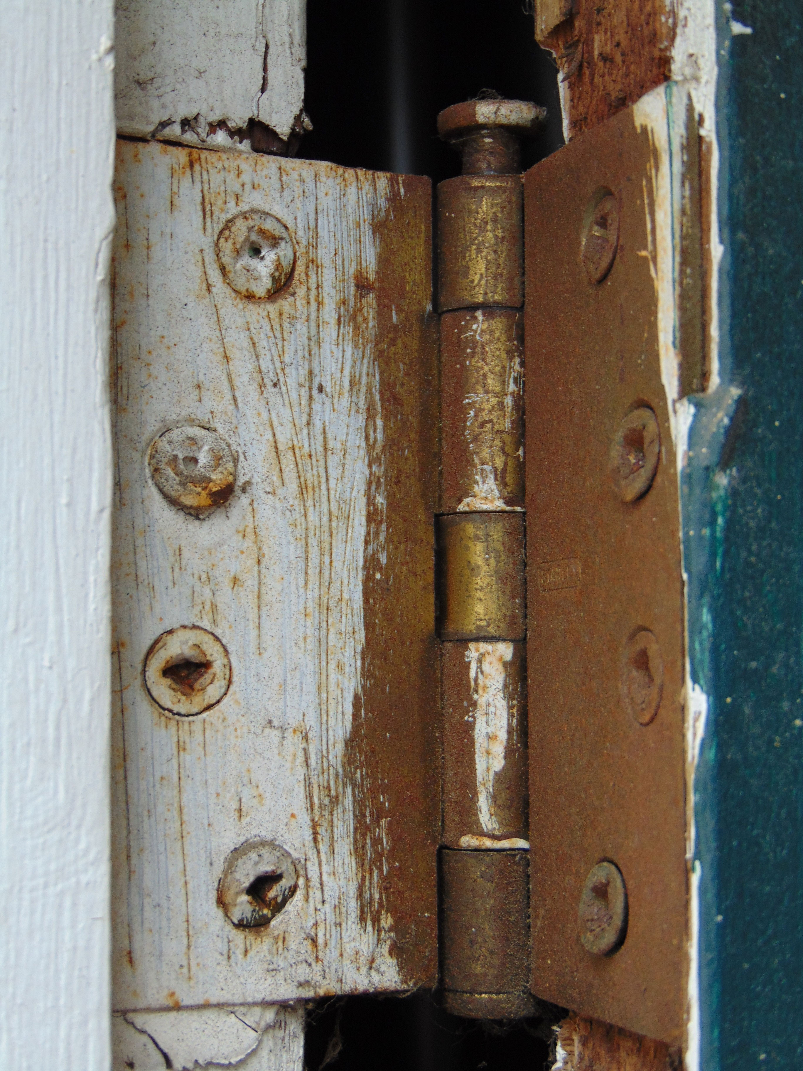 Виды дверных петель для входной двери фото